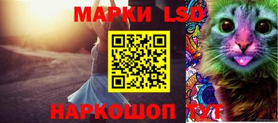 мяу мяу мука Малоярославец
