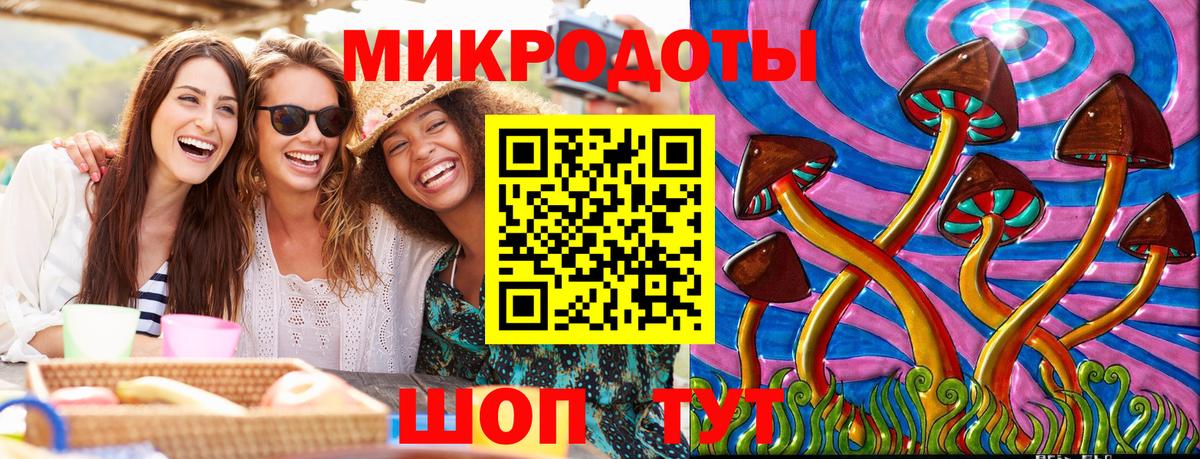 Галлюциногенные грибы прущие грибы  Вход с VPN  Выборг  Галлюциногенные грибы Psilocybe 