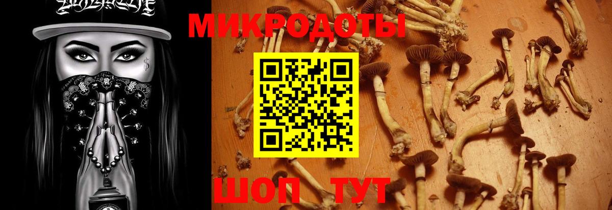 Псилоцибиновые грибы Magic Shrooms Выборг